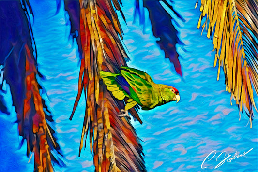 Jungle Pulse Among Whispering Palms